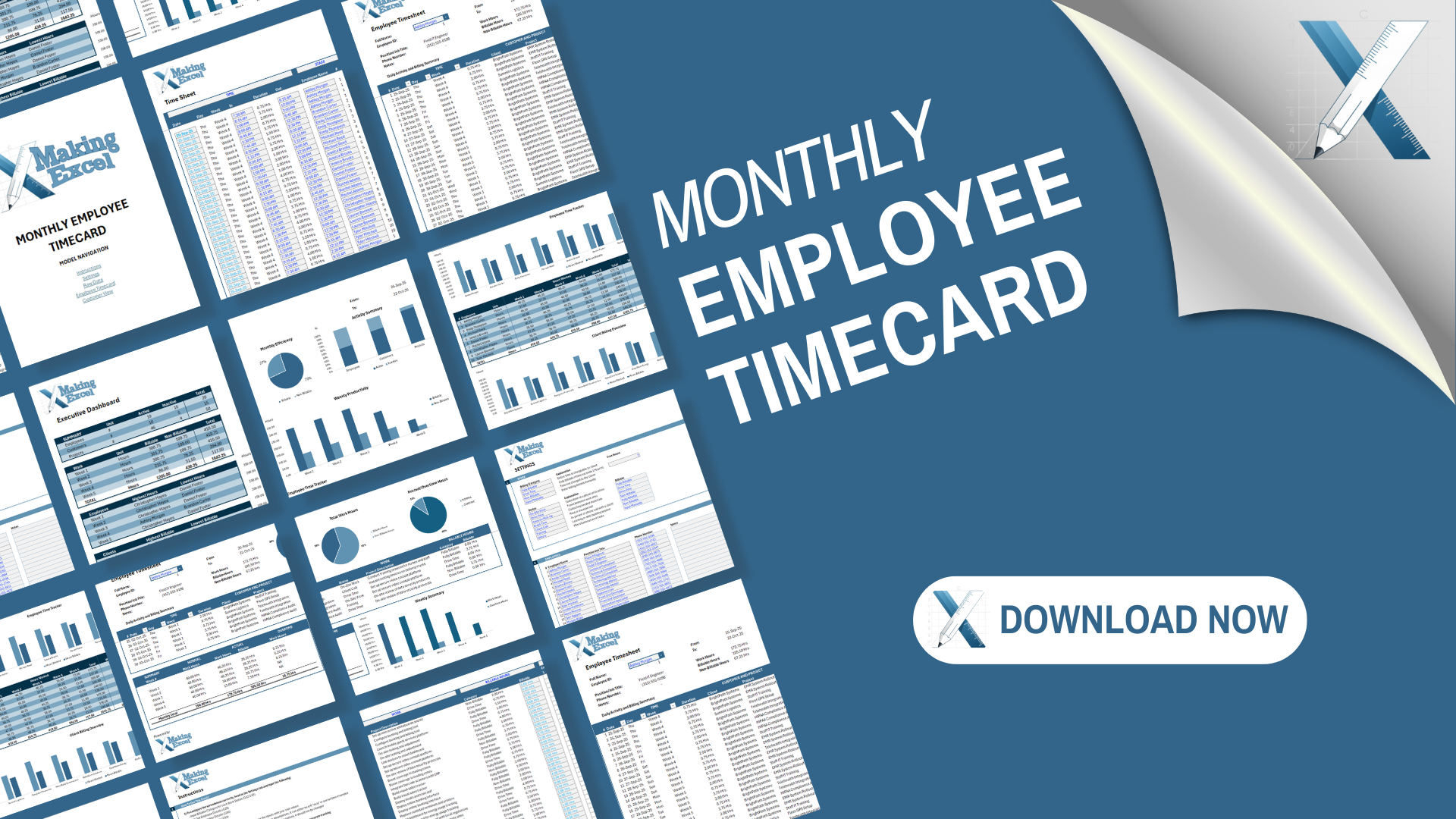 All-in-One Monthly Employee Timecard, Tracking, Billing & Executive Reporting